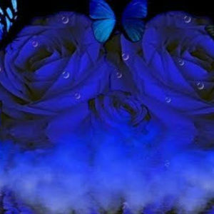 Meet your Posher, Tunolaseo